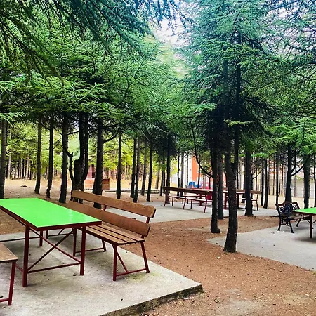 In * スヴェティ・ヴラス