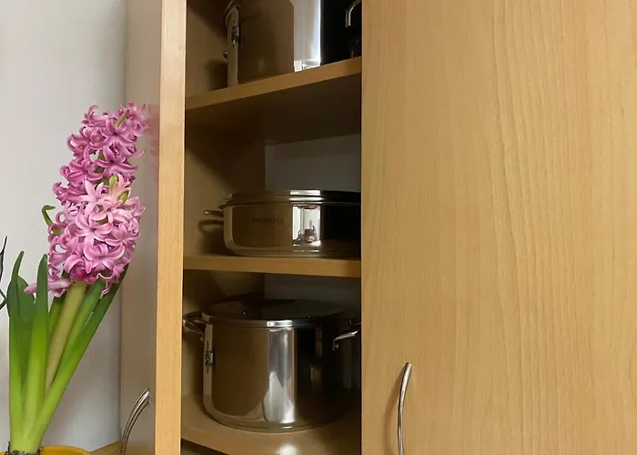 In Свети-Влас